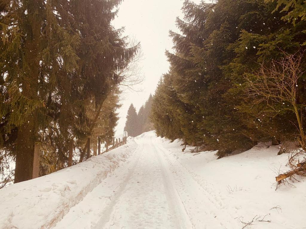 Fewo Bergblick - Oberwiesenthal Exterior photo